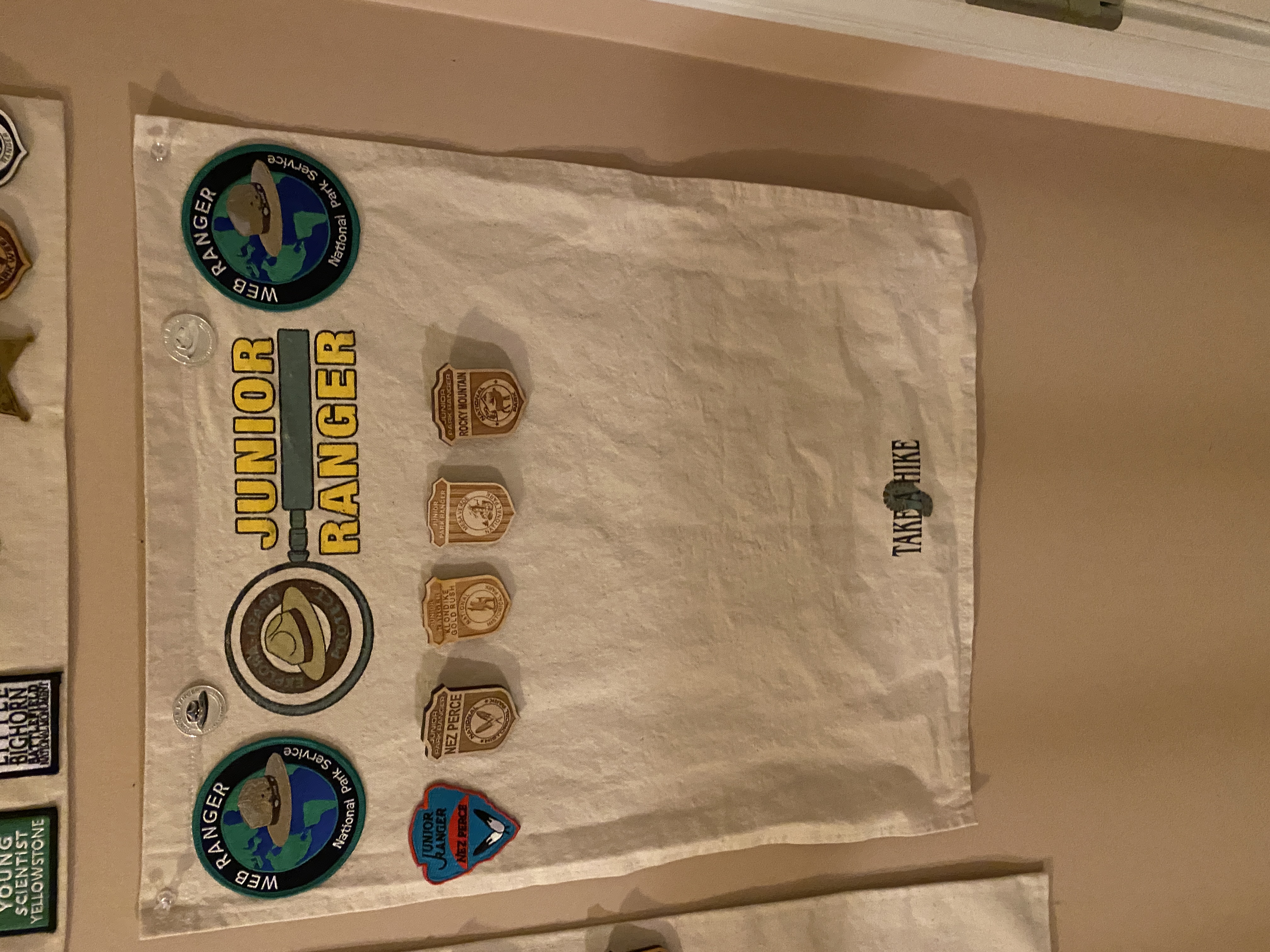 The Fryer family Junior Ranger Badges Collection as of 2022